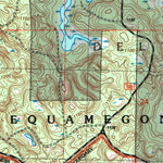 United States Geological Survey Delta, WI (2005, 24000-Scale) digital map