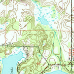 United States Geological Survey Delton, MI (1961, 24000-Scale) digital map