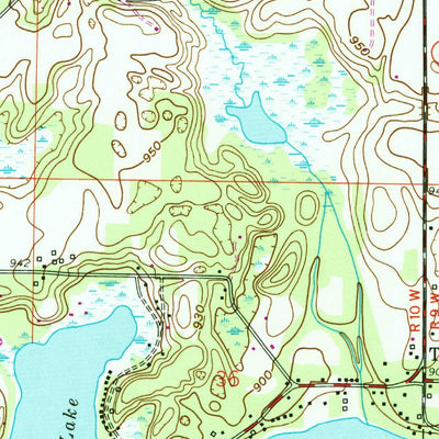 United States Geological Survey Delton, MI (1961, 24000-Scale) digital map