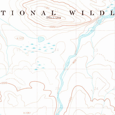 United States Geological Survey Demarcation Point C-5, AK (1955, 63360-Scale) digital map