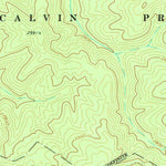 United States Geological Survey Denmar, WV (1977, 24000-Scale) digital map