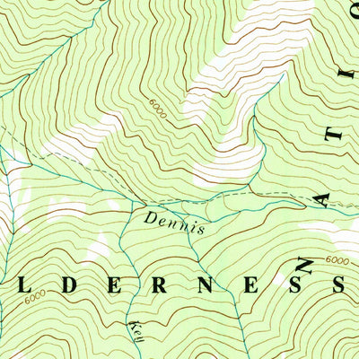 United States Geological Survey Dennis Mountain, ID (1991, 24000-Scale) digital map