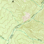United States Geological Survey Dennis Mountain, ID (1991, 24000-Scale) digital map