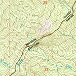 United States Geological Survey Dennis Mountain, ID (1998, 24000-Scale) digital map