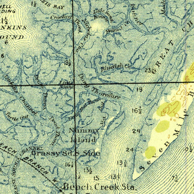 United States Geological Survey Dennisville, NJ (1919, 62500-Scale) digital map
