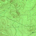 United States Geological Survey Denson Springs, TX (1982, 24000-Scale) digital map