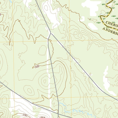 United States Geological Survey Denson Springs, TX (2022, 24000-Scale) digital map