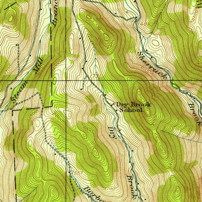 United States Geological Survey Deposit, NY (1924, 62500-Scale) digital map