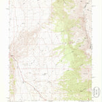 United States Geological Survey Desatoya Peak, NV (1969, 24000-Scale) digital map