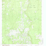 United States Geological Survey Deserter Baygall, TX (1984, 24000-Scale) digital map