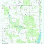 United States Geological Survey Desser, GA (1954, 24000-Scale) digital map