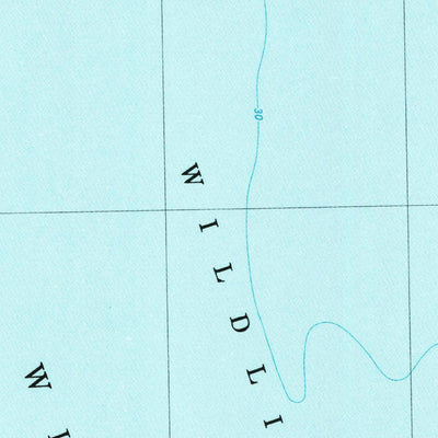 United States Geological Survey Destruction Island, WA (1982, 24000-Scale) digital map