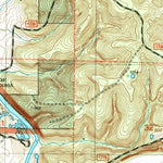 United States Geological Survey Devils Elbow, MO (2004, 24000-Scale) digital map