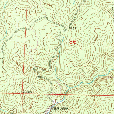 United States Geological Survey Devils Head, CO (1954, 24000-Scale) digital map