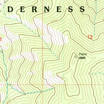 United States Geological Survey Devils Teeth Rapids, ID (1998, 24000-Scale) digital map