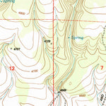 United States Geological Survey Devine Ridge South, OR (1999, 24000-Scale) digital map