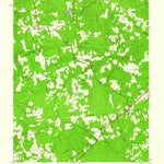 United States Geological Survey Dewitt, VA (1943, 24000-Scale) digital map