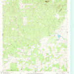 United States Geological Survey Dewville, TX (1962, 24000-Scale) digital map