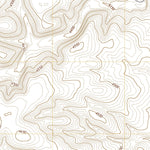 United States Geological Survey Diamond A Ranch, NM (2020, 24000-Scale) digital map
