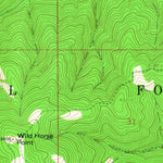 United States Geological Survey Diamond Point, MT (1964, 24000-Scale) digital map