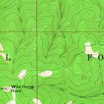 United States Geological Survey Diamond Point, MT (1964, 24000-Scale) digital map