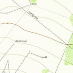 United States Geological Survey Diamond Y Spring NE, TX (1974, 24000-Scale) digital map