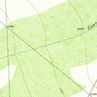 United States Geological Survey Diamond Y Spring NE, TX (1974, 24000-Scale) digital map