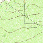 United States Geological Survey Diamond Y Spring NW, TX (1974, 24000-Scale) digital map