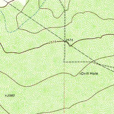 United States Geological Survey Diamond Y Spring NW, TX (1974, 24000-Scale) digital map