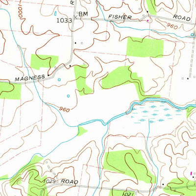 United States Geological Survey Dibrell, TN (1960, 24000-Scale) digital map