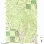 United States Geological Survey Dick Creek, MT-ID (1999, 24000-Scale) digital map