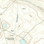 United States Geological Survey Dickenson Ranch, TX (1966, 24000-Scale) digital map