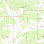 United States Geological Survey Dicks Peak, CO (1983, 24000-Scale) digital map