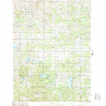 United States Geological Survey Dighton, MI (1983, 25000-Scale) digital map