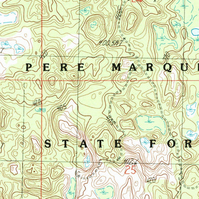 United States Geological Survey Dighton, MI (1983, 25000-Scale) digital map