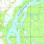 United States Geological Survey Dillingham B-5, AK (1954, 63360-Scale) digital map
