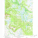United States Geological Survey Dillingham B-6, AK (1954, 63360-Scale) digital map