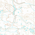 United States Geological Survey Dillingham C-2, AK (1954, 63360-Scale) digital map