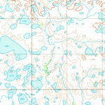 United States Geological Survey Dillingham C-2, AK (1954, 63360-Scale) digital map