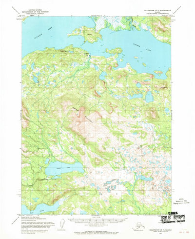 United States Geological Survey Dillingham D-7, AK (1954, 63360-Scale) digital map