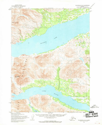 United States Geological Survey Dillingham D-8, AK (1954, 63360-Scale) digital map