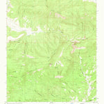United States Geological Survey Dillon Mountain, NM (1965, 24000-Scale) digital map