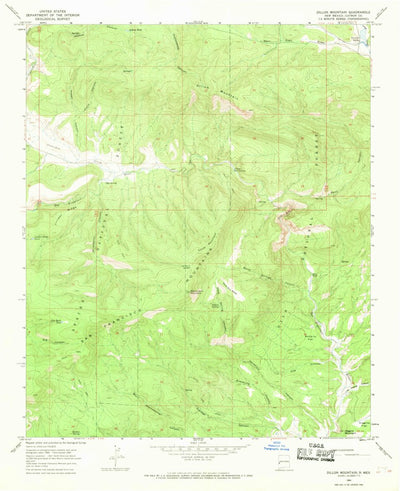 United States Geological Survey Dillon Mountain, NM (1965, 24000-Scale) digital map