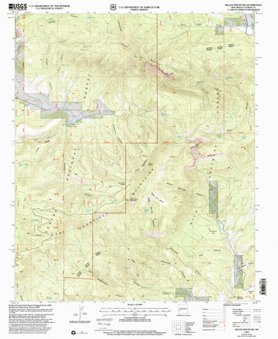 United States Geological Survey Dillon Mountain, NM (1999, 24000-Scale) digital map