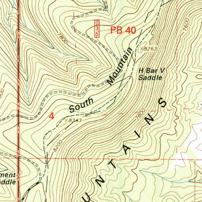 United States Geological Survey Dillon Mountain, NM (1999, 24000-Scale) digital map