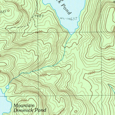 United States Geological Survey Dimmick Mountain, ME (1989, 24000-Scale) digital map