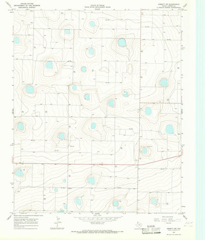 United States Geological Survey Dimmitt SW, TX (1965, 24000-Scale) digital map