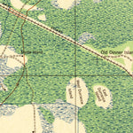 United States Geological Survey Dinner Island, FL (1944, 62500-Scale) digital map