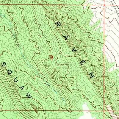 United States Geological Survey Dinosaur, CO-UT (1968, 24000-Scale) digital map