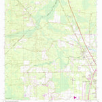 United States Geological Survey Dinsmore, FL (1964, 24000-Scale) digital map